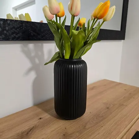 Apartment Golden Oasis Free Private Parking Ljubljana