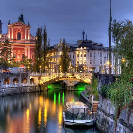 Golden Oasis Free Private Parking *