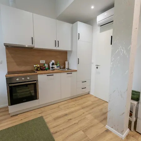 Golden Oasis Free Private Parking Apartma Ljubljana