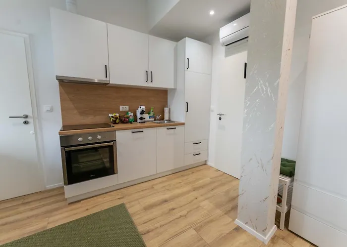 Golden Oasis Free Private Parking Apartmán Lublaň