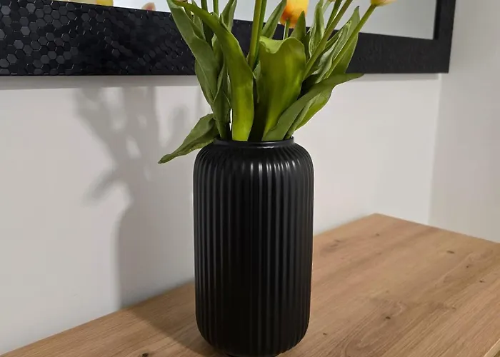 公寓 Golden Oasis Free Private Parking 卢布尔雅那